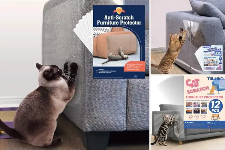 Detailed view of Best Anti Scratch Shields