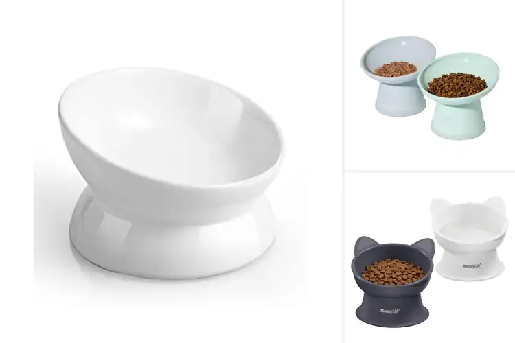 Detailed view of Best Anti-Vomiting Cat Bowls