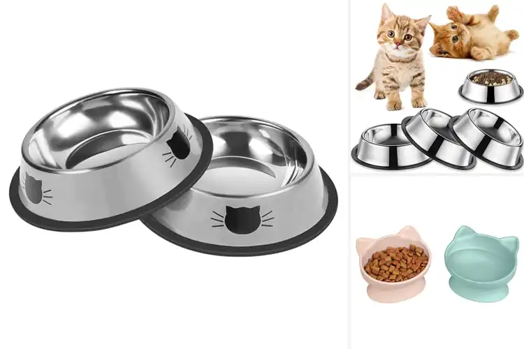 Detailed view of Best Cat Bowls for Kittens: Top 10 Picks for Happy Mealtime