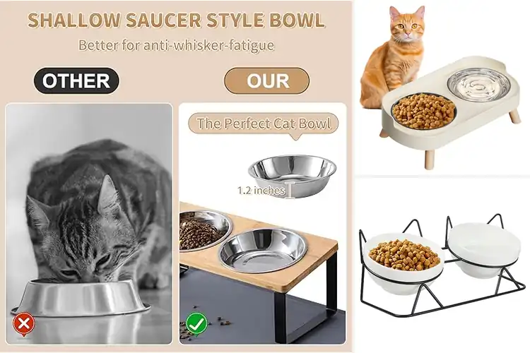 Detailed view of Best Cat Bowls with Stand