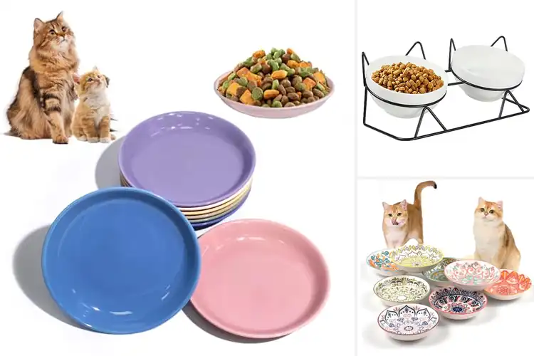 Detailed view of Best Ceramic Cat Bowls: Top 10 Picks for Style & Comfort
