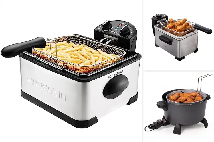 Detailed view of Best Electric Fryers