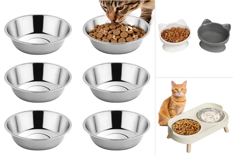 Detailed view of Best Hygienic Cat Bowls