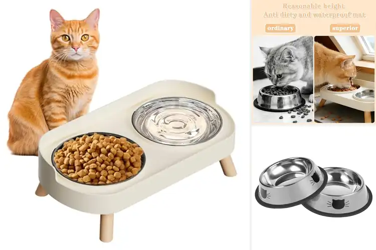 Detailed view of Best Indoor Cat Bowls: 10 Top Picks for Happy, Healthy Cats