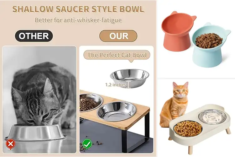 Detailed view of Best Raised Cat Food Bowls