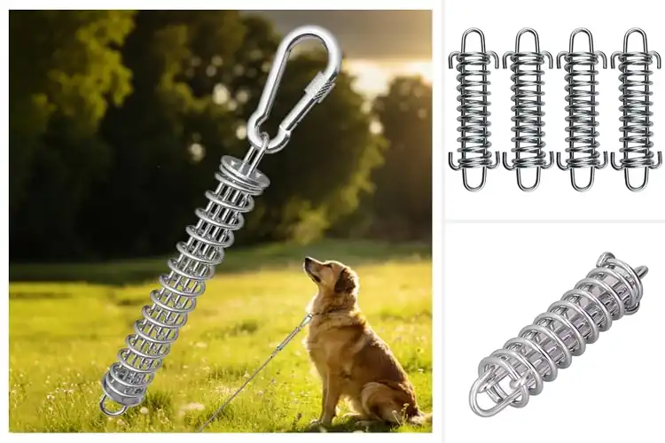 Detailed view of Best Shock Absorbing Springs