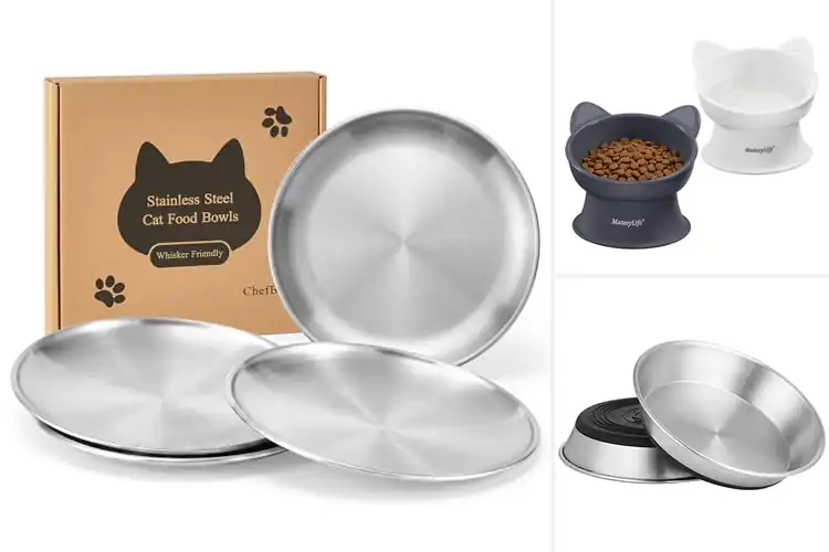 Detailed view of Best Whisker-Friendly Cat Bowls