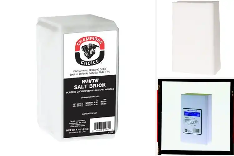 Detailed view of Best White Salt Blocks: Top 10 Picks for Healthy Animals